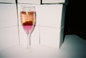 Wine Sunflower(Pink)