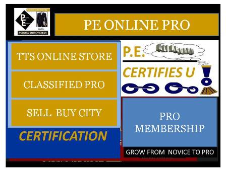 PE Pro Online